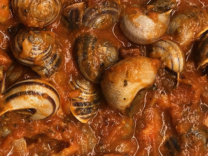 Caracoles