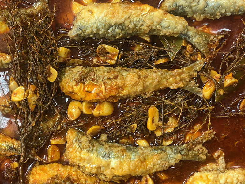 Sardinas